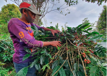 WAROENG33 MARKETPLACE PERANGKUL KAUM MARGINAL