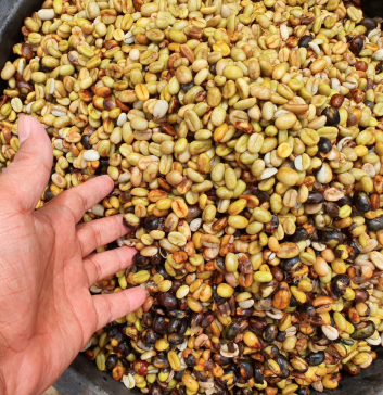 WAROENG33 MARKETPLACE PERANGKUL KAUM MARGINAL