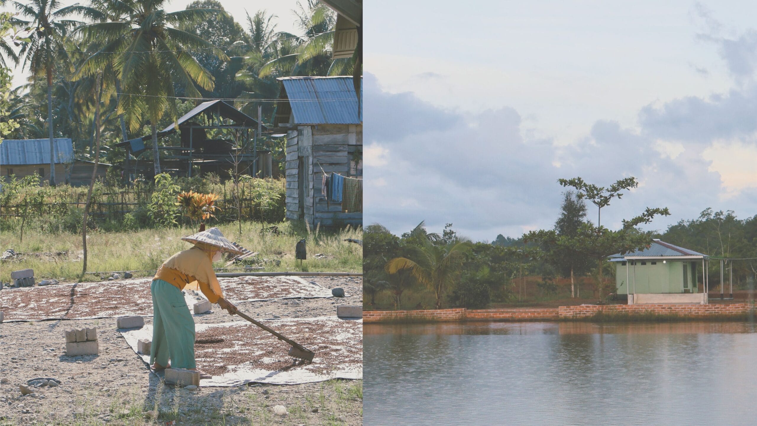 Study on Gender, Human Rights, Safeguard and Gender and Inclusive Development Action Plan for SOLUSI Project